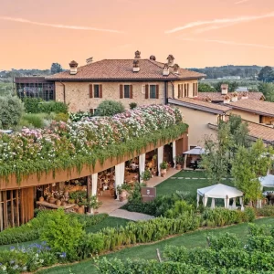 Wineyards tour and wine tasting